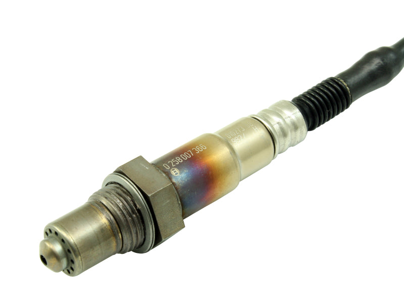 AEM Bosch UEGO Replacement Sensor LSU 4.2