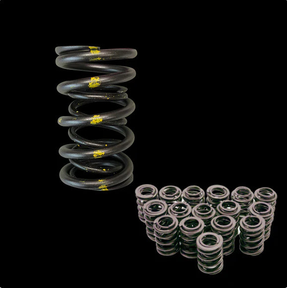 Brian Crower Toyota 2JZ GTE / 2JZ GE Dual Valve Springs (set/24)