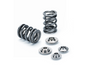Supertech 2JZ GE /2JZ GTE Dual Valve Spring Kit - SPRK-TS1009