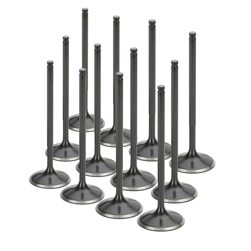 Supertech RB25 NEO (w/Hydraulic Lifters) Black Nitrided Intake Valve +1mm OS Set/12