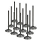 Supertech RB25 NEO (w/Hydraulic Lifters) Black Nitrided Intake Valve +1mm OS Set/12