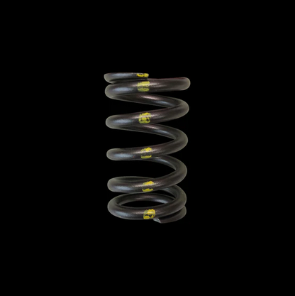 Brian Crower Toyota 2JZ GTE/GE Single Valve Springs (set/24)
