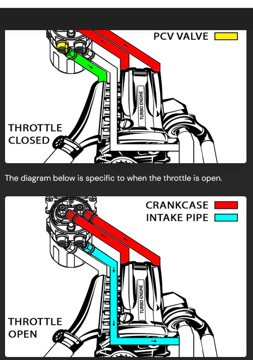 Radium Engineering Competition Catch Can - L