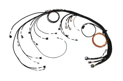 Haltech Universal Nexus Rebel JZ Main Terminated Engine - Wiring Harness