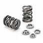 Supertech 1JZ / 2JZ GE / 2JZ GTE Beehive Valve Spring Kit x24 - SPRK-TS1012-BE