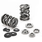 Supertech 2JZ GE /2JZ GTE Dual Valve Spring Kit - SPRK-TS1012