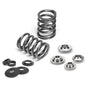 Supertech RB25 (w/Hydraulic Lifters) 24V Single Valve Spring Kit 78lbs