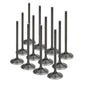 Supertech 2JZ GE / 2JZ GTE Black Nitrided Intake Valve STD size - Set/12